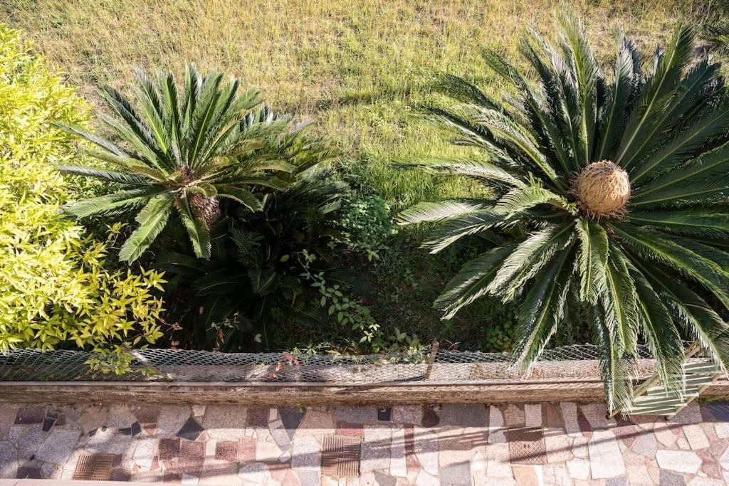 Art Of Living 100 Meters From The Sea. Apartment Marina di Pietrasanta Exterior photo